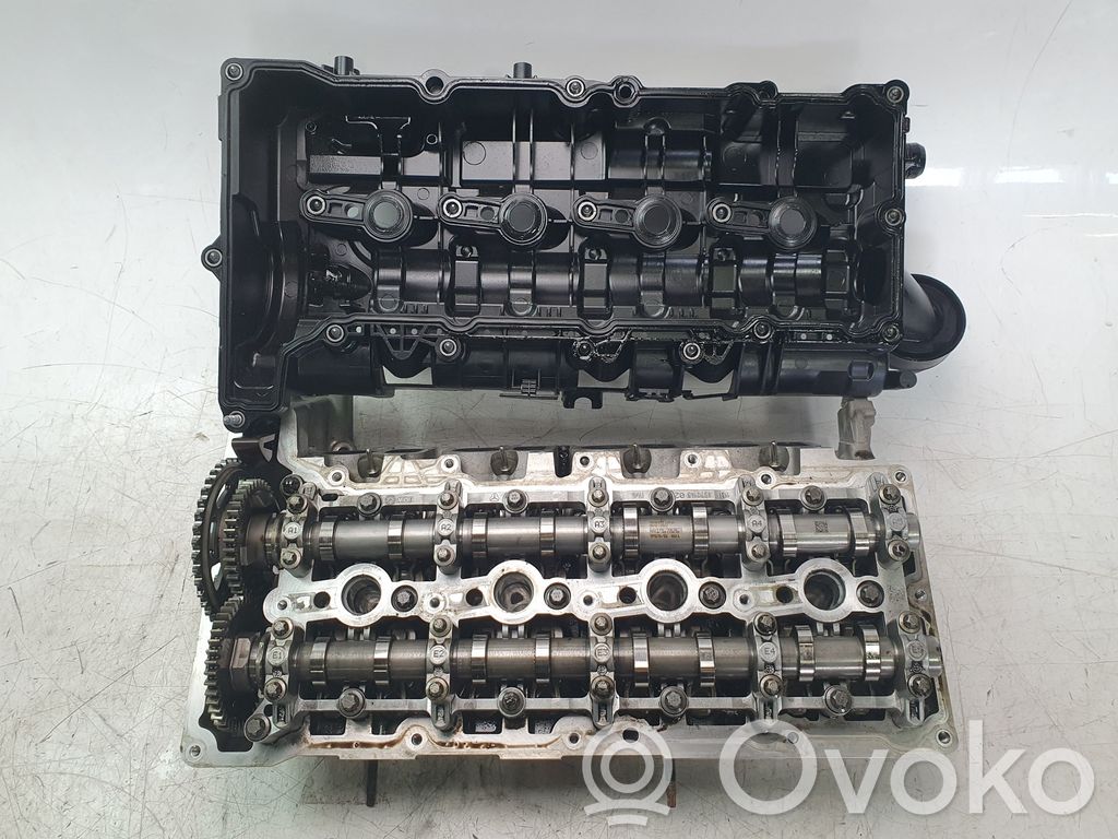 Galvutė   8580268