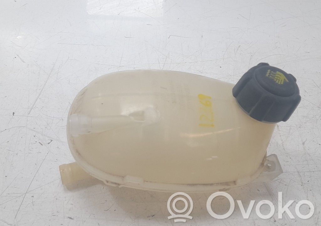 Renault Clio IV Depósito de expansión de combustible 
