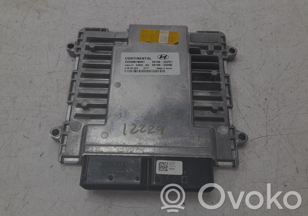 Sterownik / Moduł ECU   391982GPD1