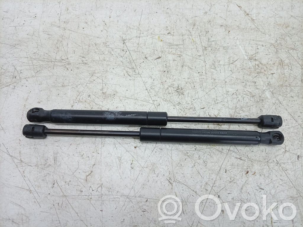 Land Rover Range Rover Evoque L538 Amortizor capotă motor 