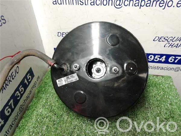 Servofreno   585002S251,585002S251