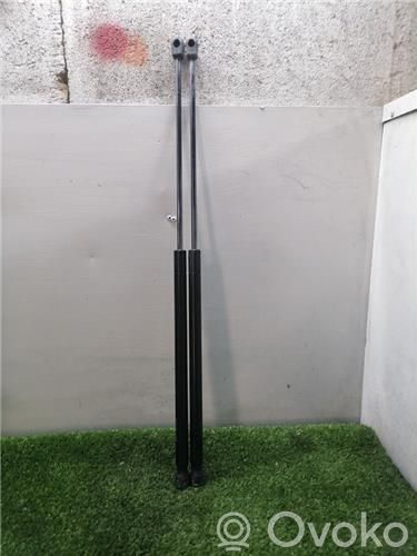 Tailgate/trunk/boot lid buffer