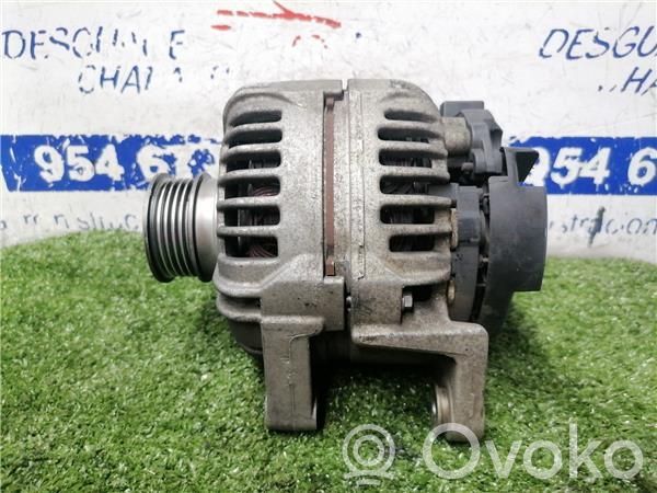 Alternator   55556067,124425020