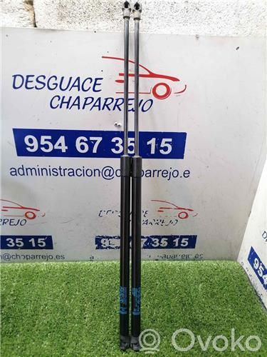 Renault Clio II Tampon hayon/capotă portbagaj 