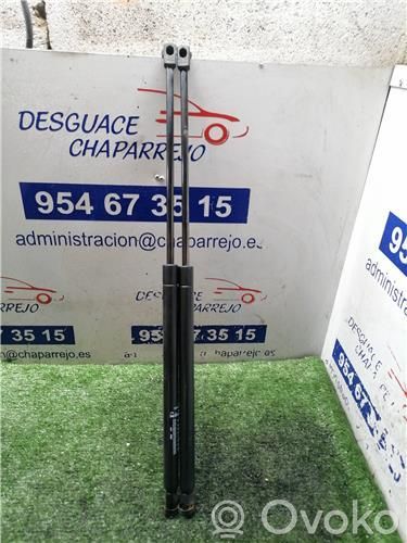 Amortiguador del maletero/compartimento de carga