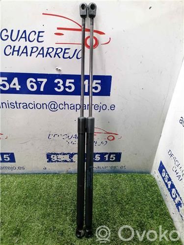 Atrama galinio dangčio   8A61A406A10AC,8A61A406A10AC