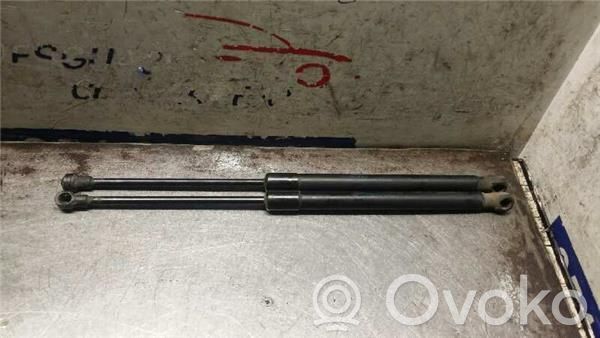 Tailgate/trunk/boot lid buffer