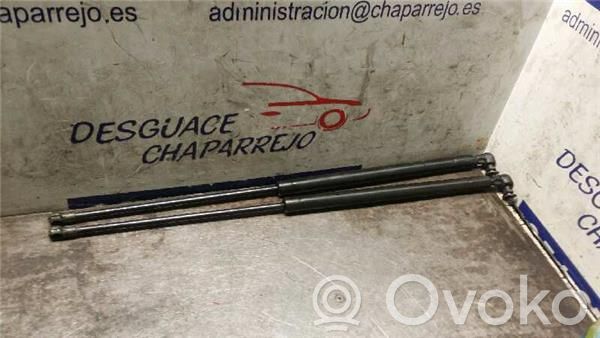 Amortizor capotă motor