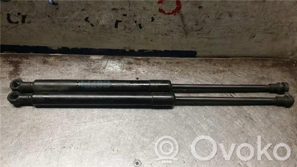 Front bonnet/hood damper/strut