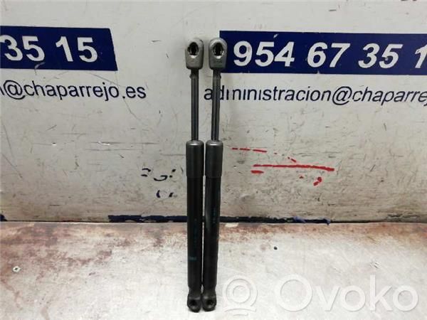 Tailgate/trunk/boot lid buffer