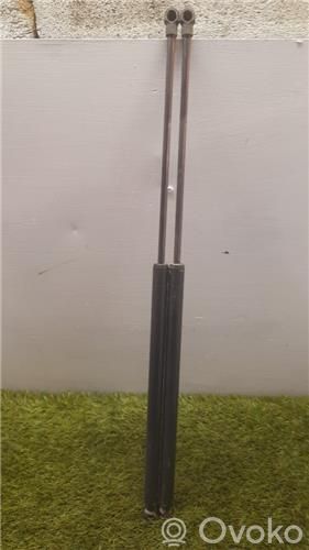 Tailgate/trunk/boot lid buffer