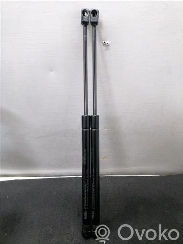 Tailgate/trunk/boot lid buffer