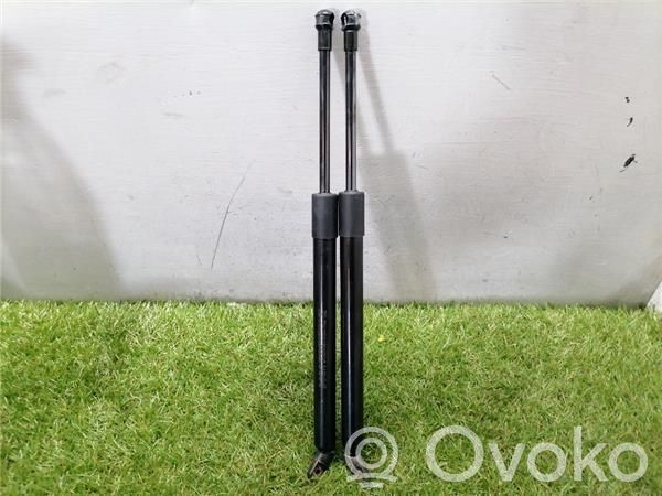 Tailgate/trunk/boot lid buffer