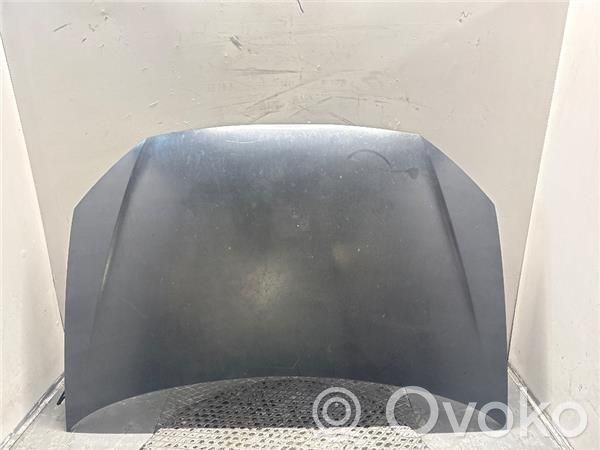 Capó/tapa del motor