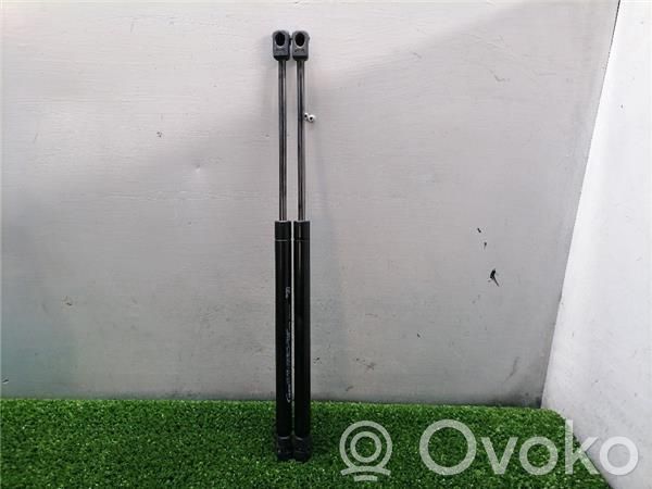 Tailgate/trunk/boot lid buffer