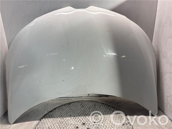 Engine bonnet/hood