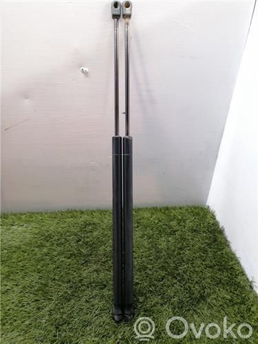 Ford Fusion Ammortizzatore portellone posteriore/bagagliaio 