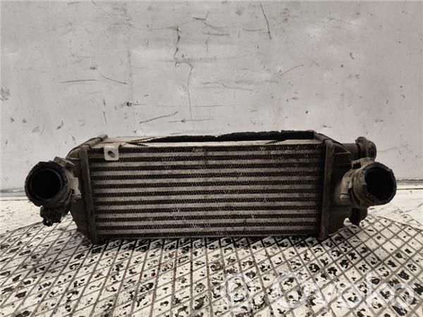 Refroidisseur intermédiaire   282702A850,282702A850