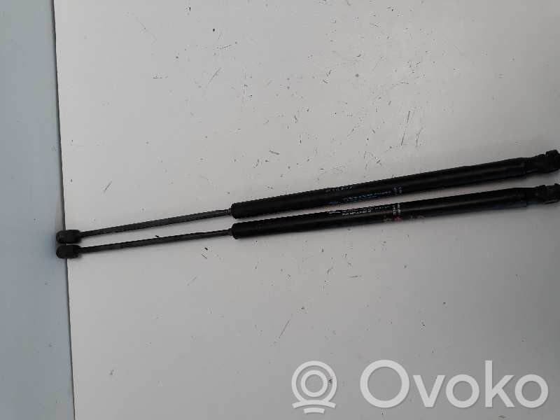 Amortyzator klapy tylnej bagażnika   9649587680,565CM315NM