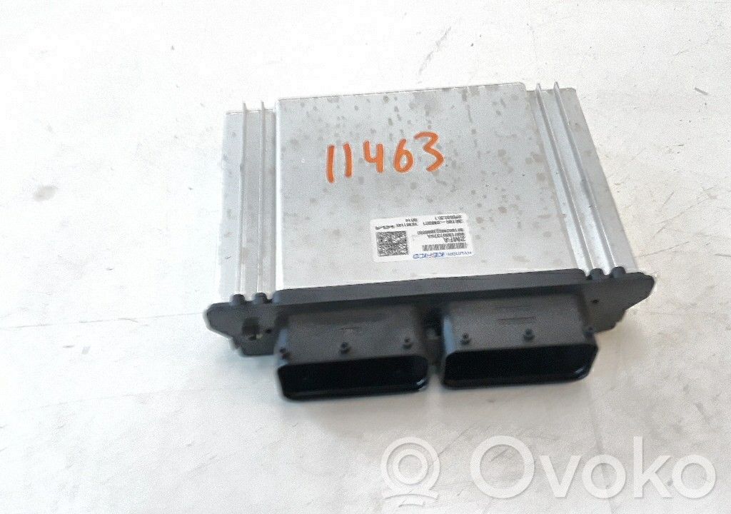 KIA Sportage Engine control unit/module 