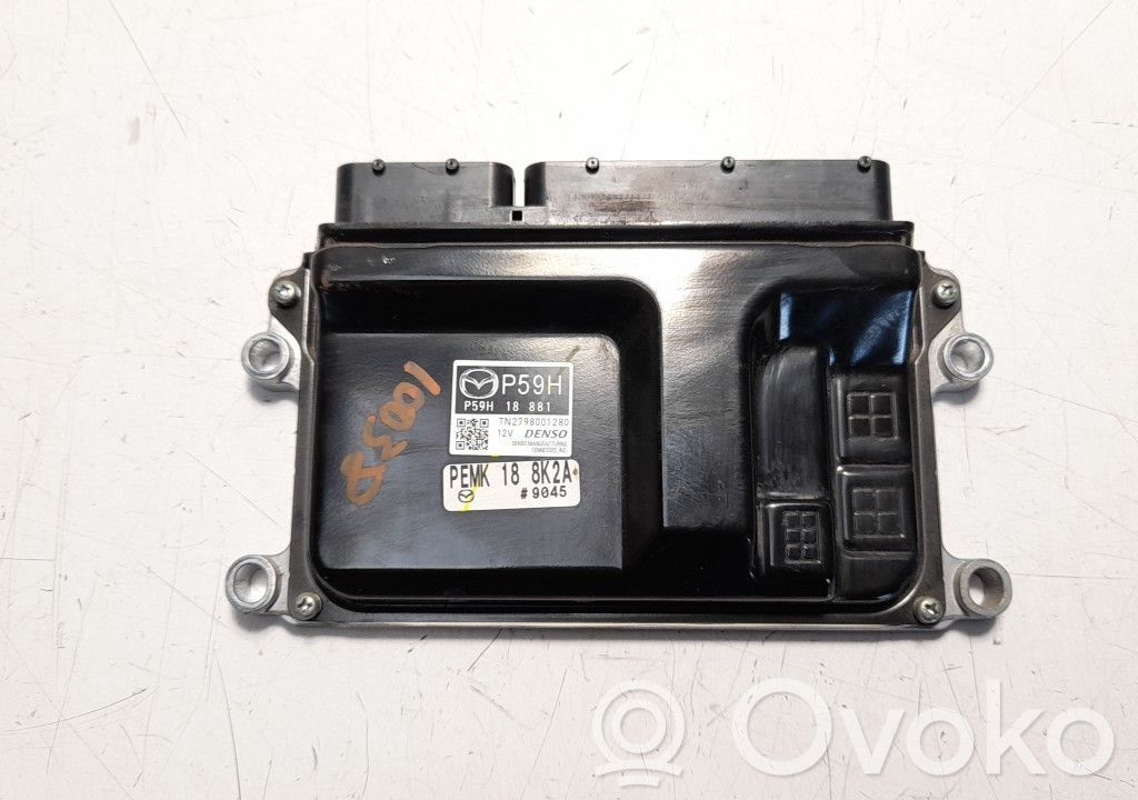Engine control unit/module   P59H18881