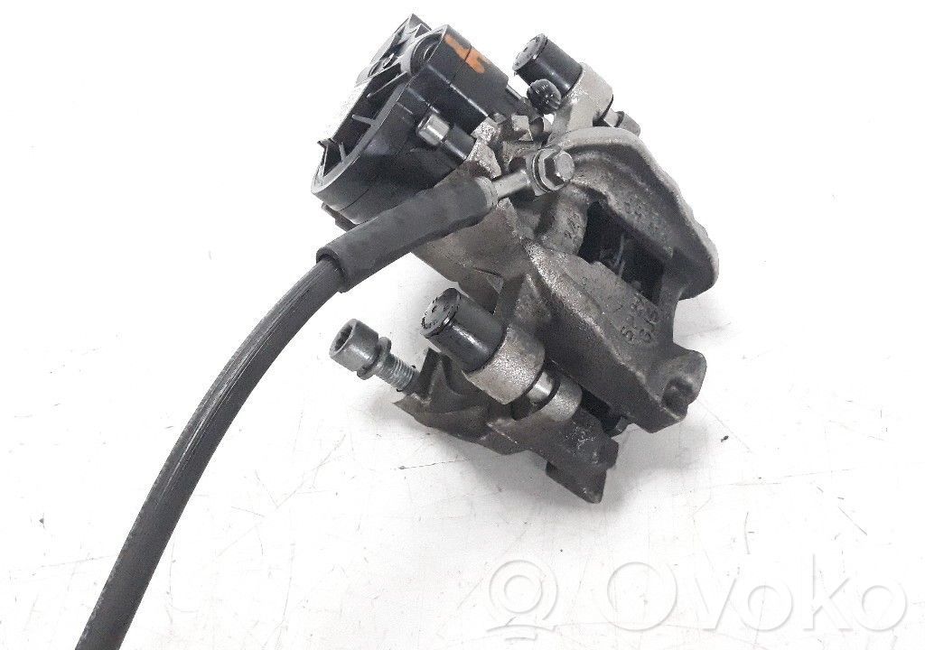 Takajarrusatula   5Q0615405