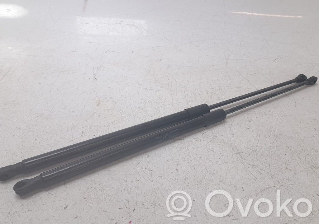 Tailgate/trunk strut/damper   5FA827550C