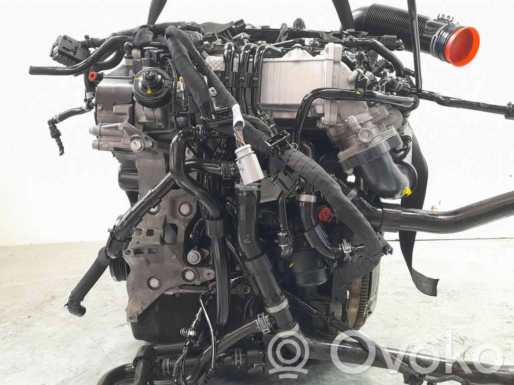 Motor   CXM