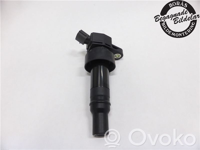 High voltage ignition coil   273012B100,273012B100