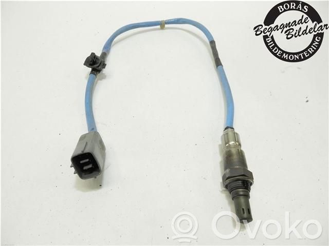 Зонд «Lambda»   PE01188G1A
