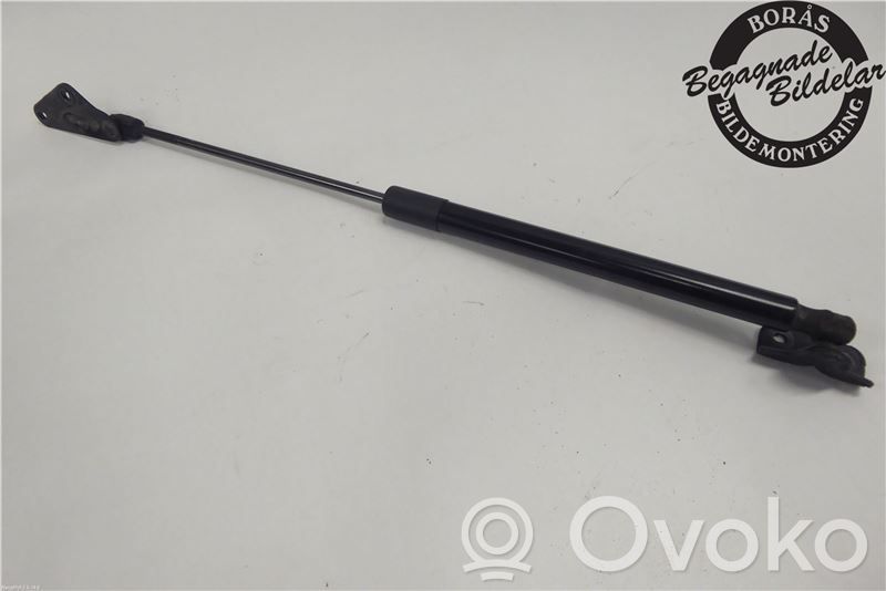 Tailgate strut   1757865