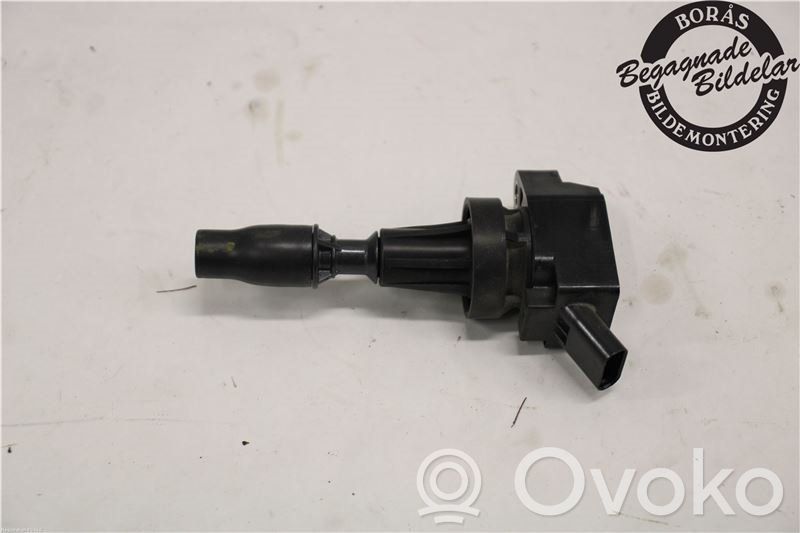 High voltage ignition coil   273012B120,273012B120,273012B120