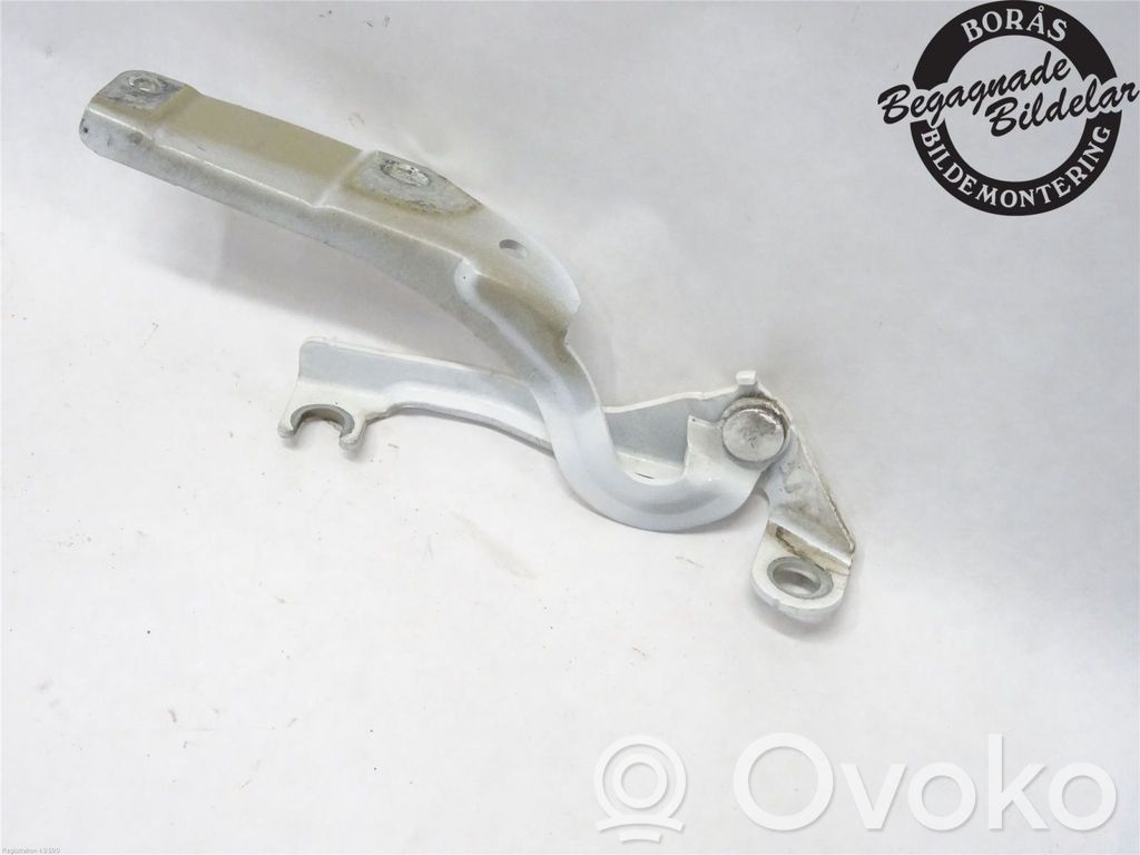 Citroen C3 Picasso Engine bonnet/hood hinges 