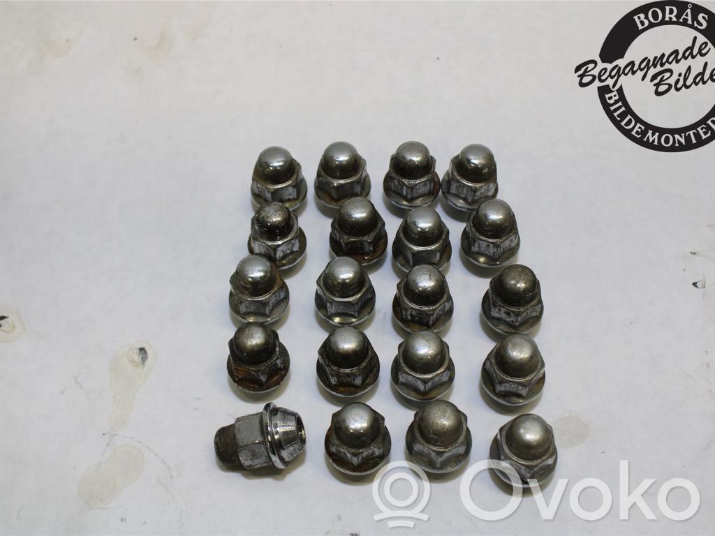 Mutterit/pultit   529503Y000