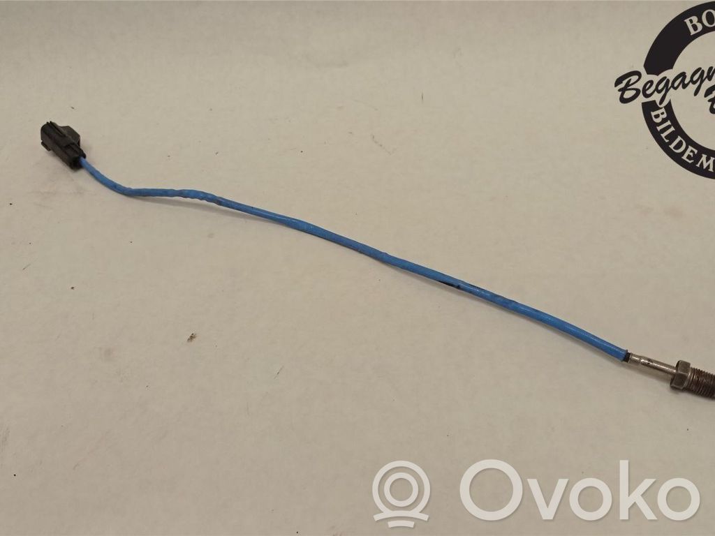 Exhaust gas temperature sensor