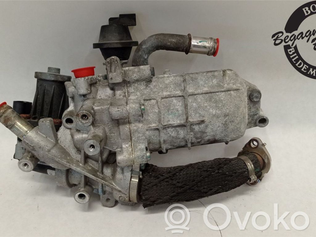 Citroen C5 Refrigerador de la válvula EGR 