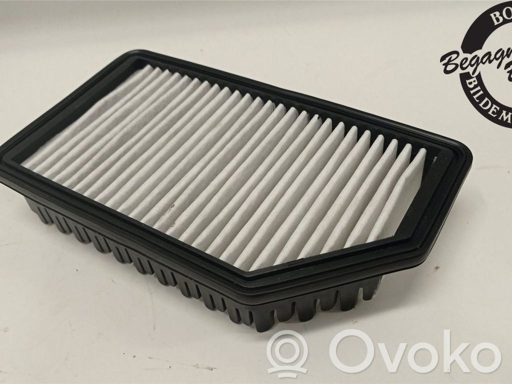 Luftfilter   281131R100