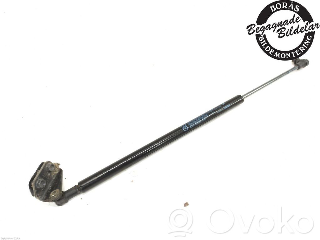 Tailgate strut   D10E62620A
