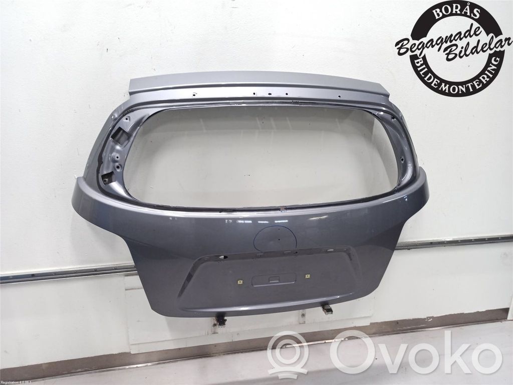Tailgate/trunk/boot lid