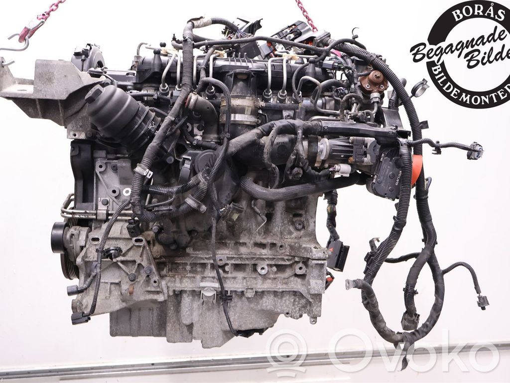Engine   36050504