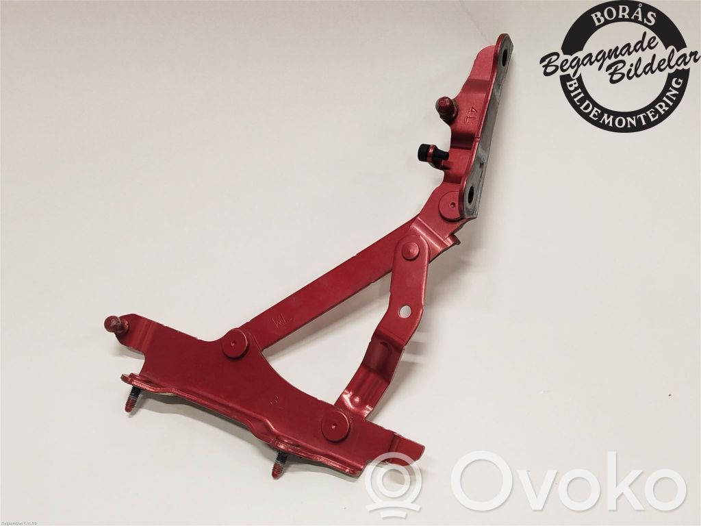 Tailgate/trunk/boot hinge   N24352720A
