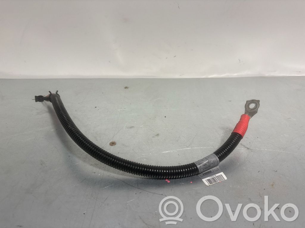 Positive cable (battery)   7789754,61020050,7789755