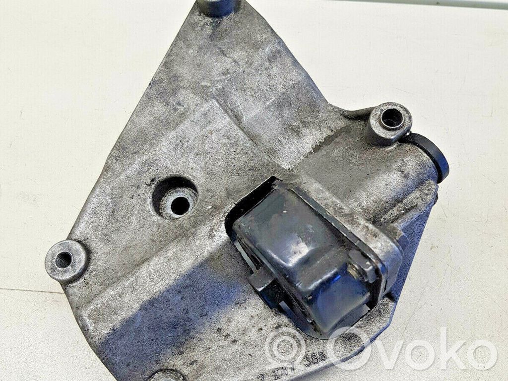 BMW 3 E46 Air conditioning tensioner 