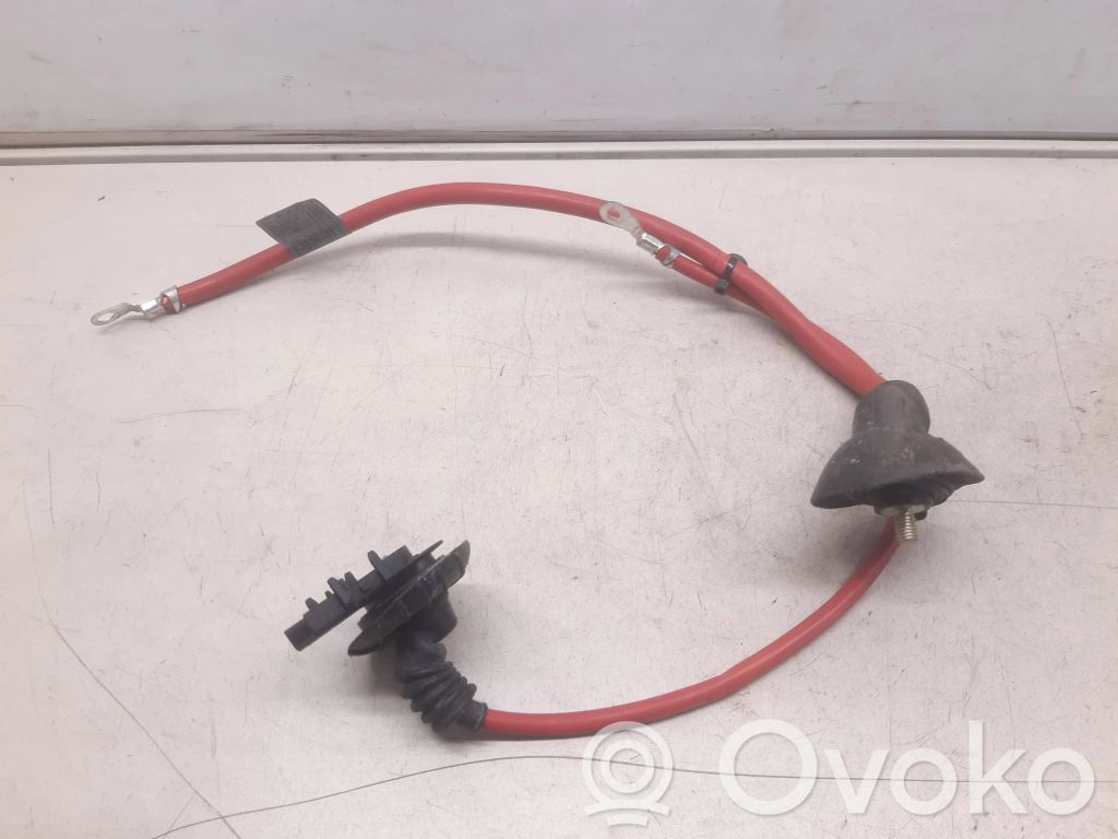 Cable positivo (batería)   13318810,6910542,22002113