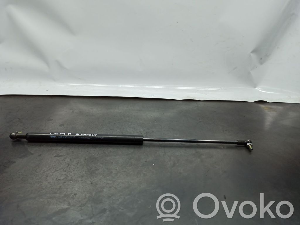 Tailgate/trunk strut/damper   610930,33211