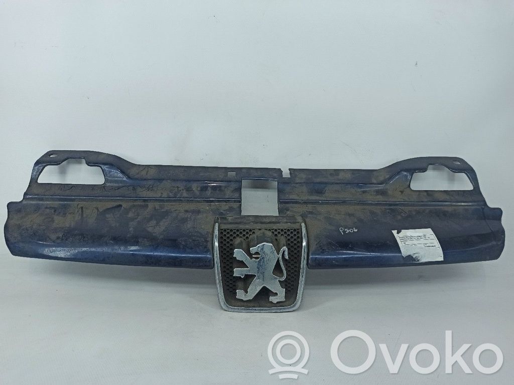 Front grill   FASE