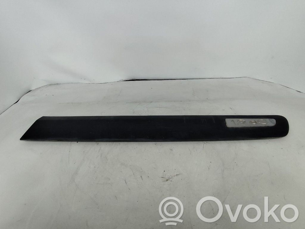 Renault Espace IV Mască ușă față (turnată) 
