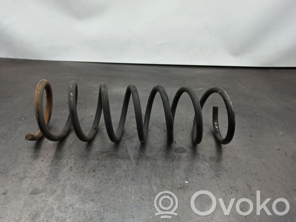 Muelle espiral trasero