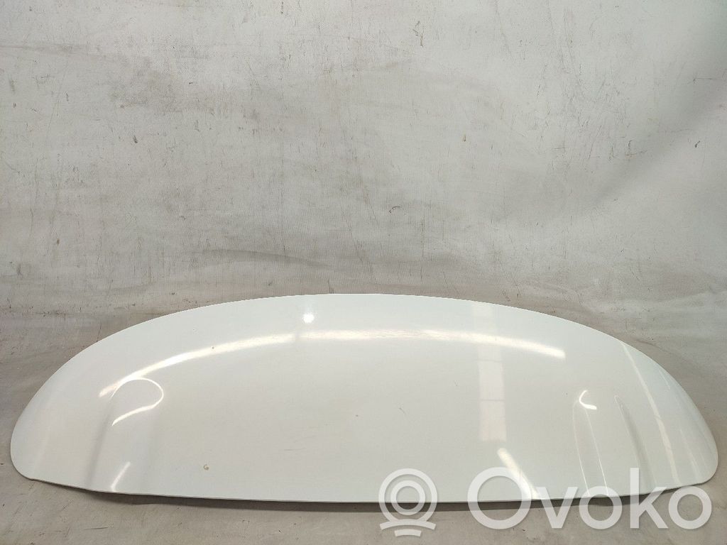 Becquet de coffre   T0000112993,960307284R
