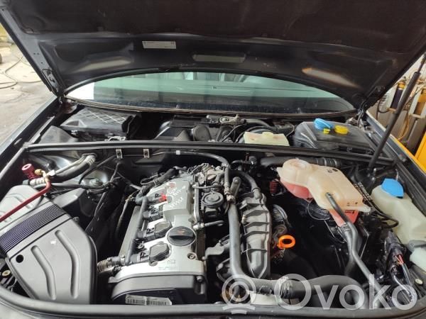 Audi A4 S4 B7 8E 8H Motor 